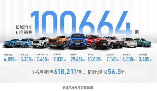 长城汽车展现企业担当，2000万元全力驰援河南汽车销售产业